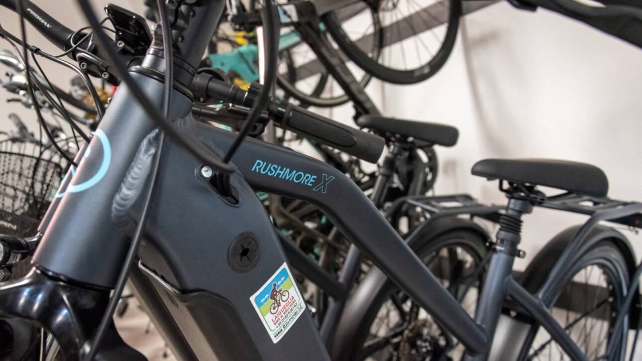 Bicicletta a pedalata assistita