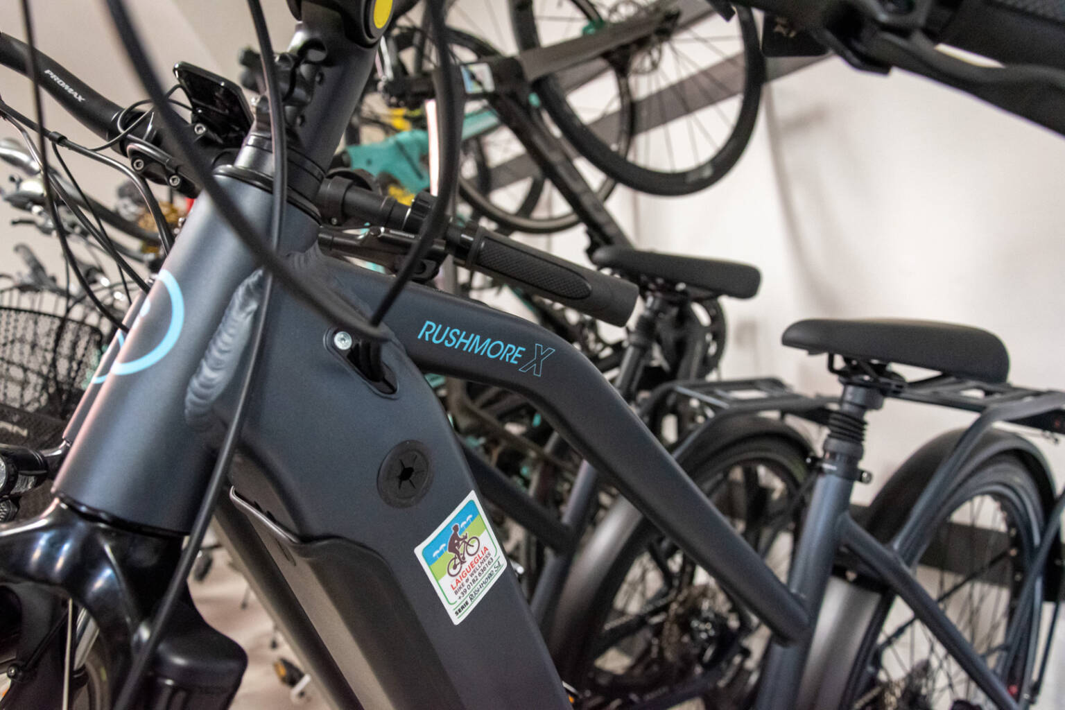 Bicicletta a pedalata assistita