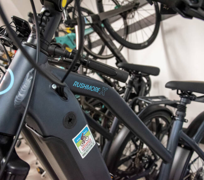 Bicicletta a pedalata assistita