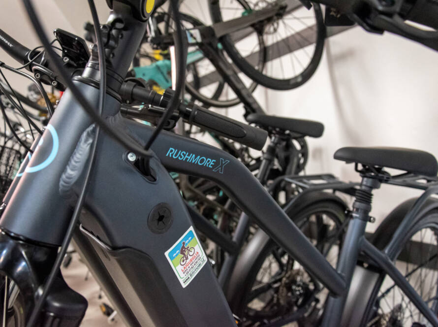 Bicicletta a pedalata assistita