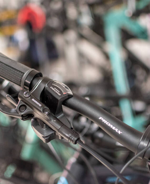 Particolare bici assistita