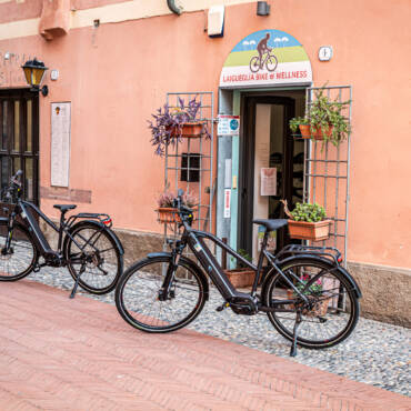 Bici a pedalata assistita