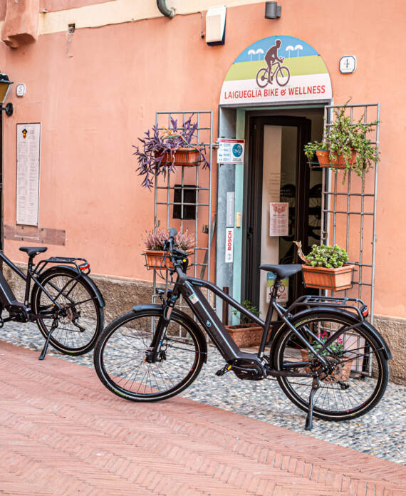 Bici a pedalata assistita