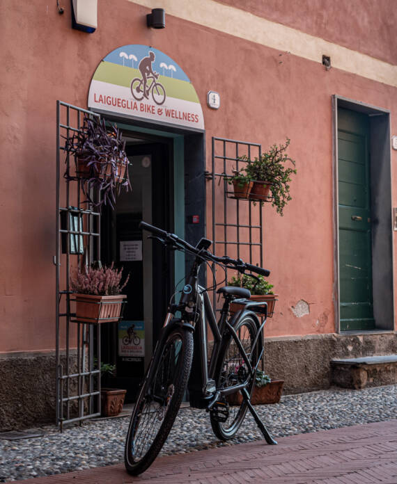 Bici a pedalata assistita