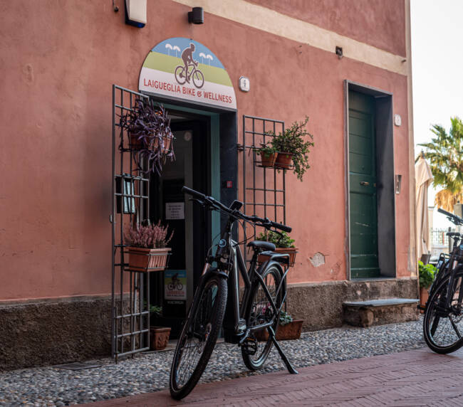 Bici a pedalata assistita