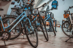 Bici da passeggio
