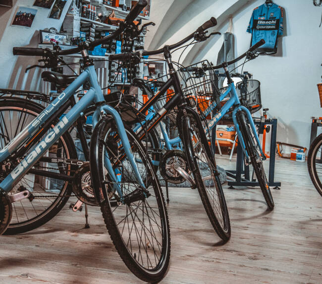 Bici da passeggio