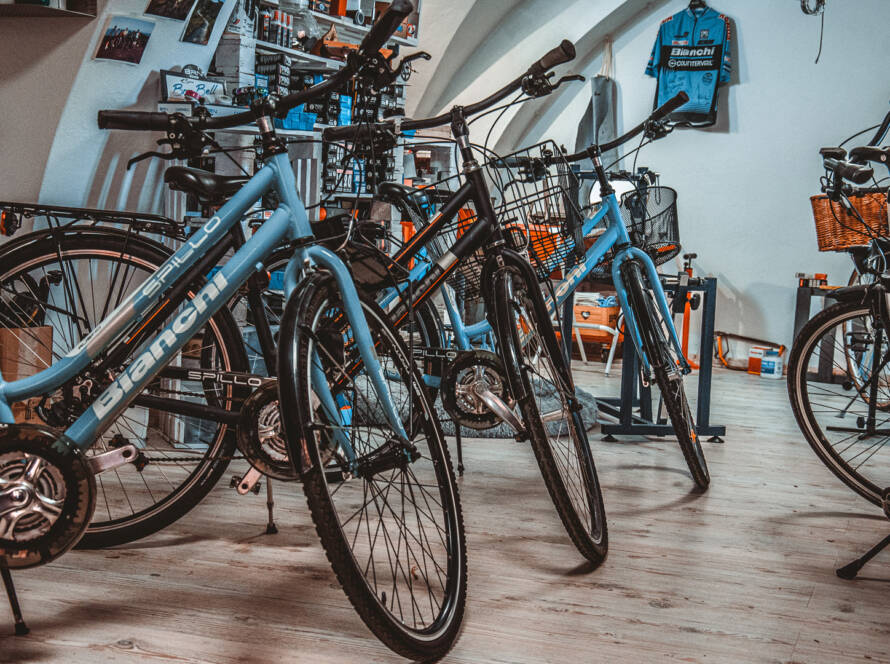 Bici da passeggio